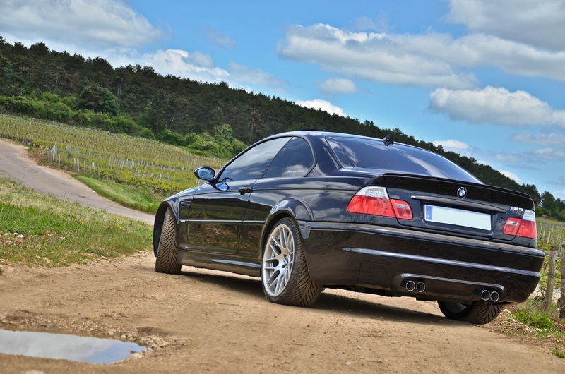 dsc8748y.jpg
