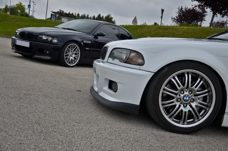 dsc8706i.jpg