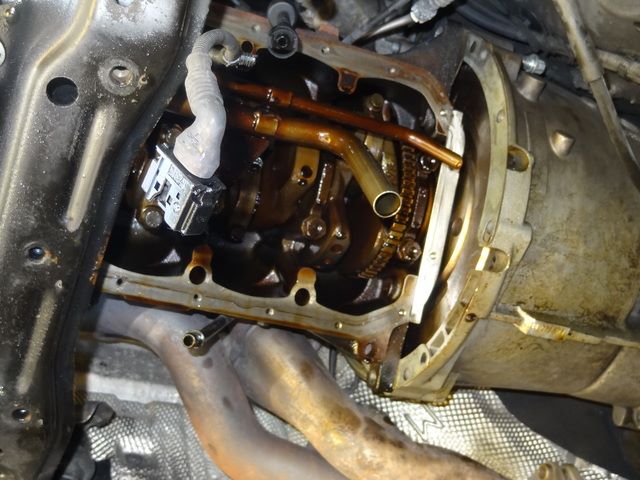 dsc00465k.jpg