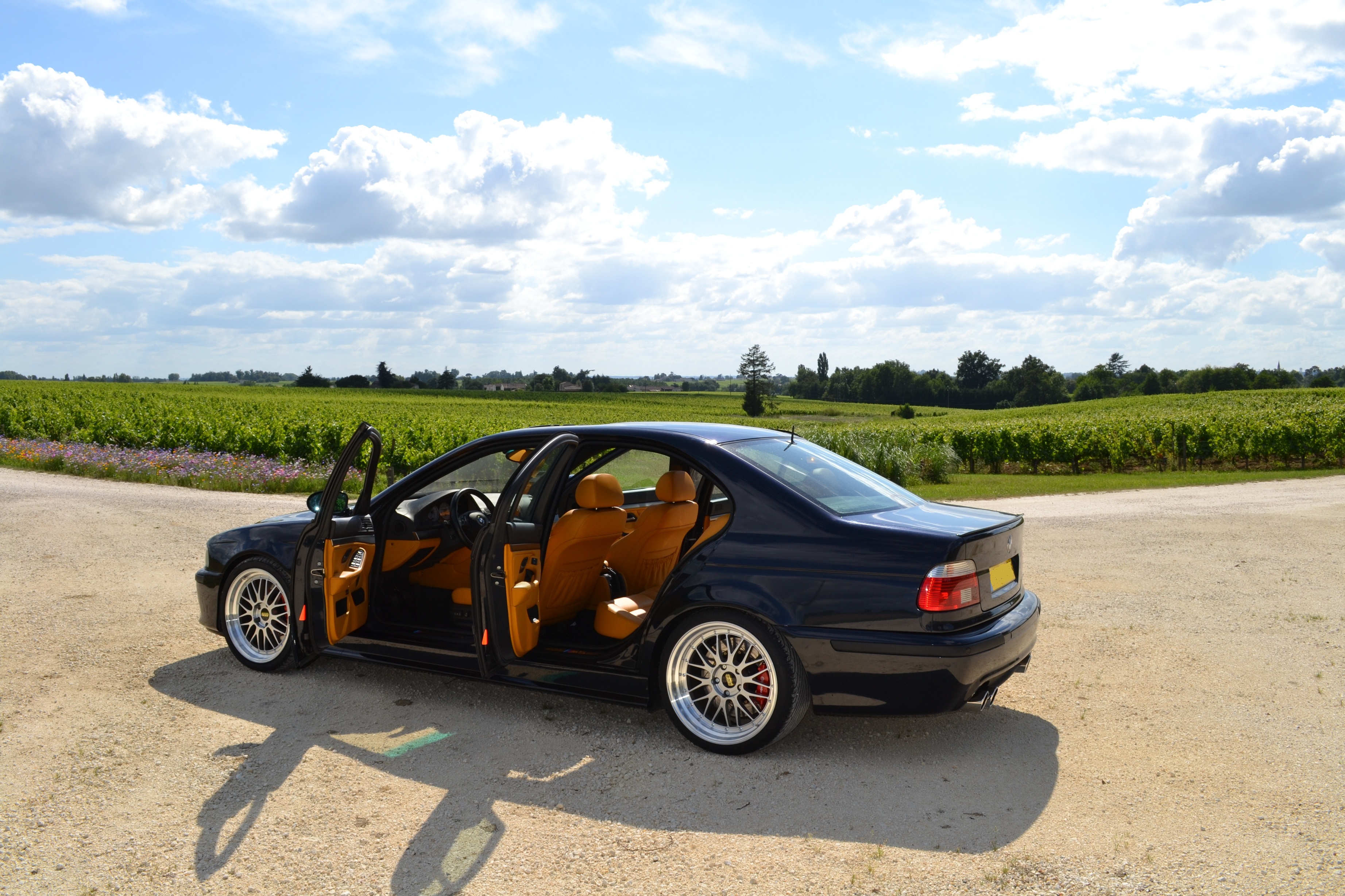 933356DSC0182.jpg
