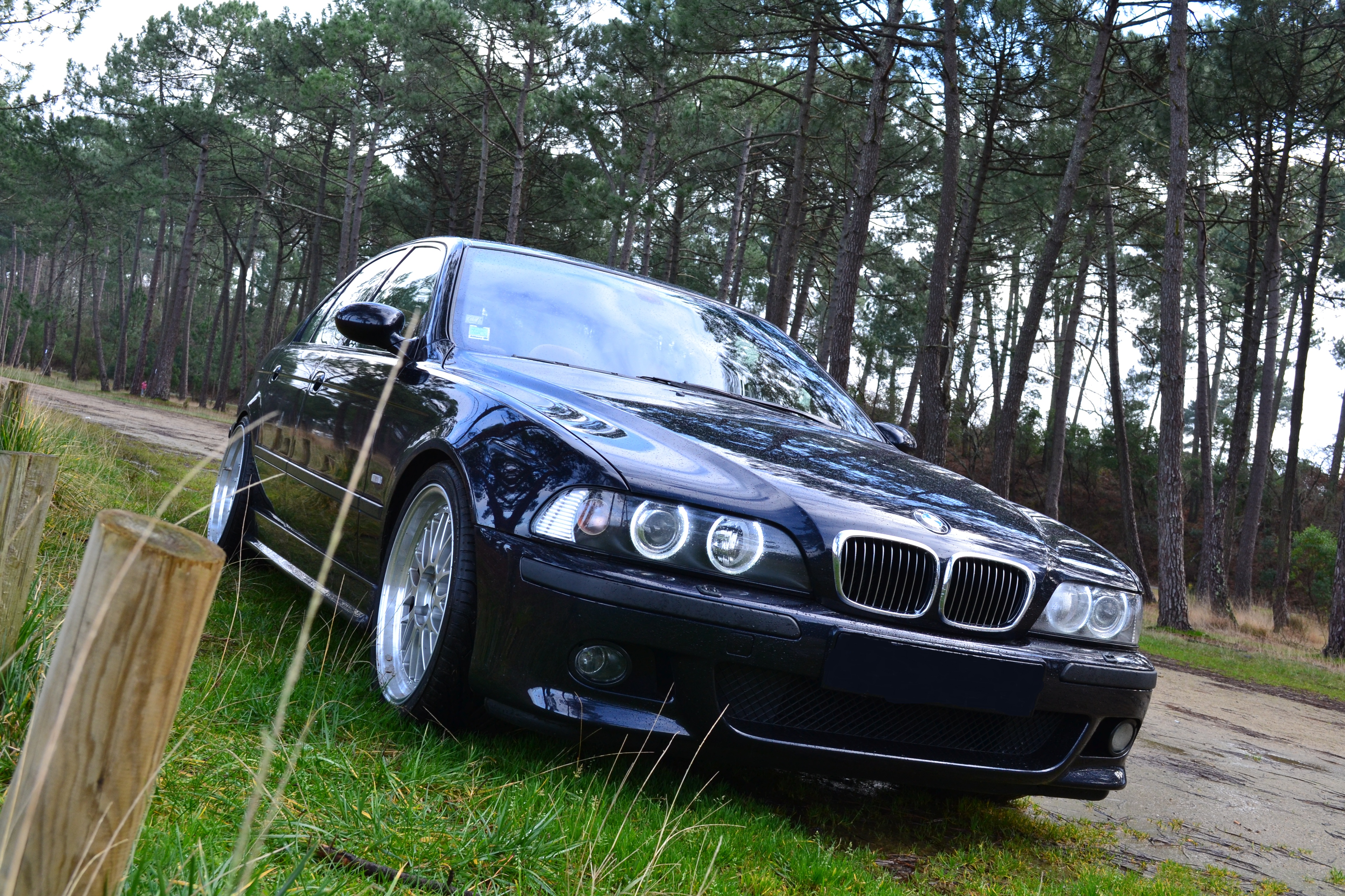 190696DSC0605.jpg