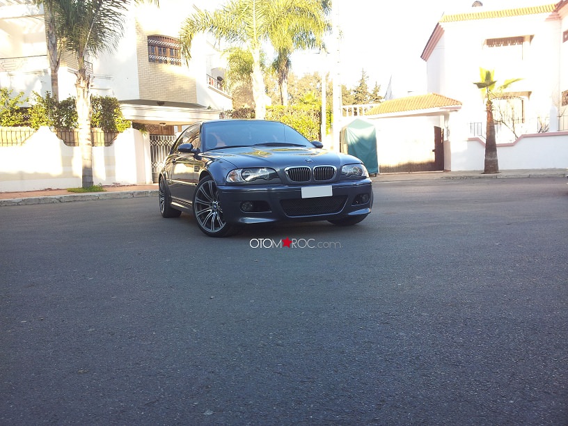 img-411394-2-mshark4.jpg