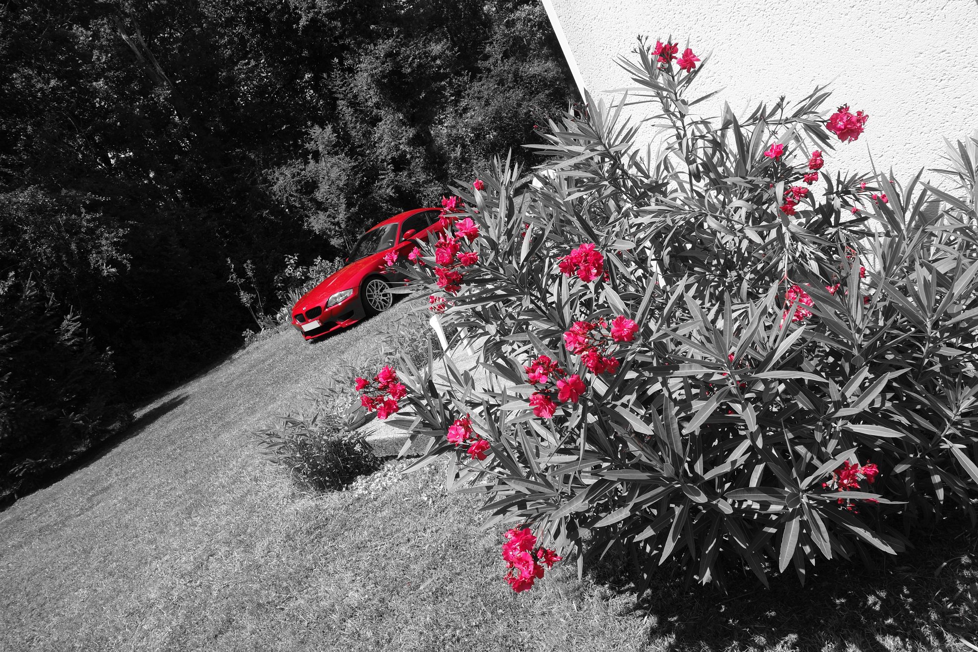20120372M5.jpg