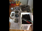 1431776580-img-0721.png