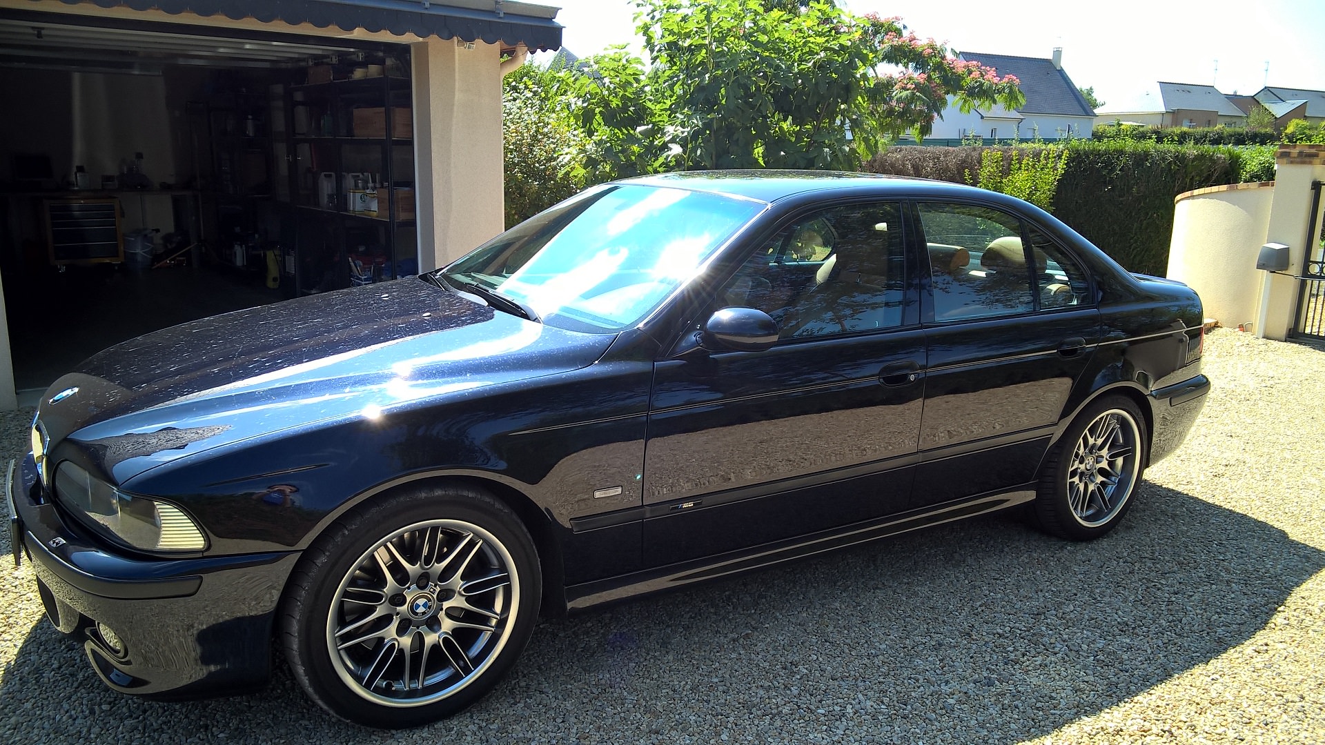 156660m5ar4.jpg