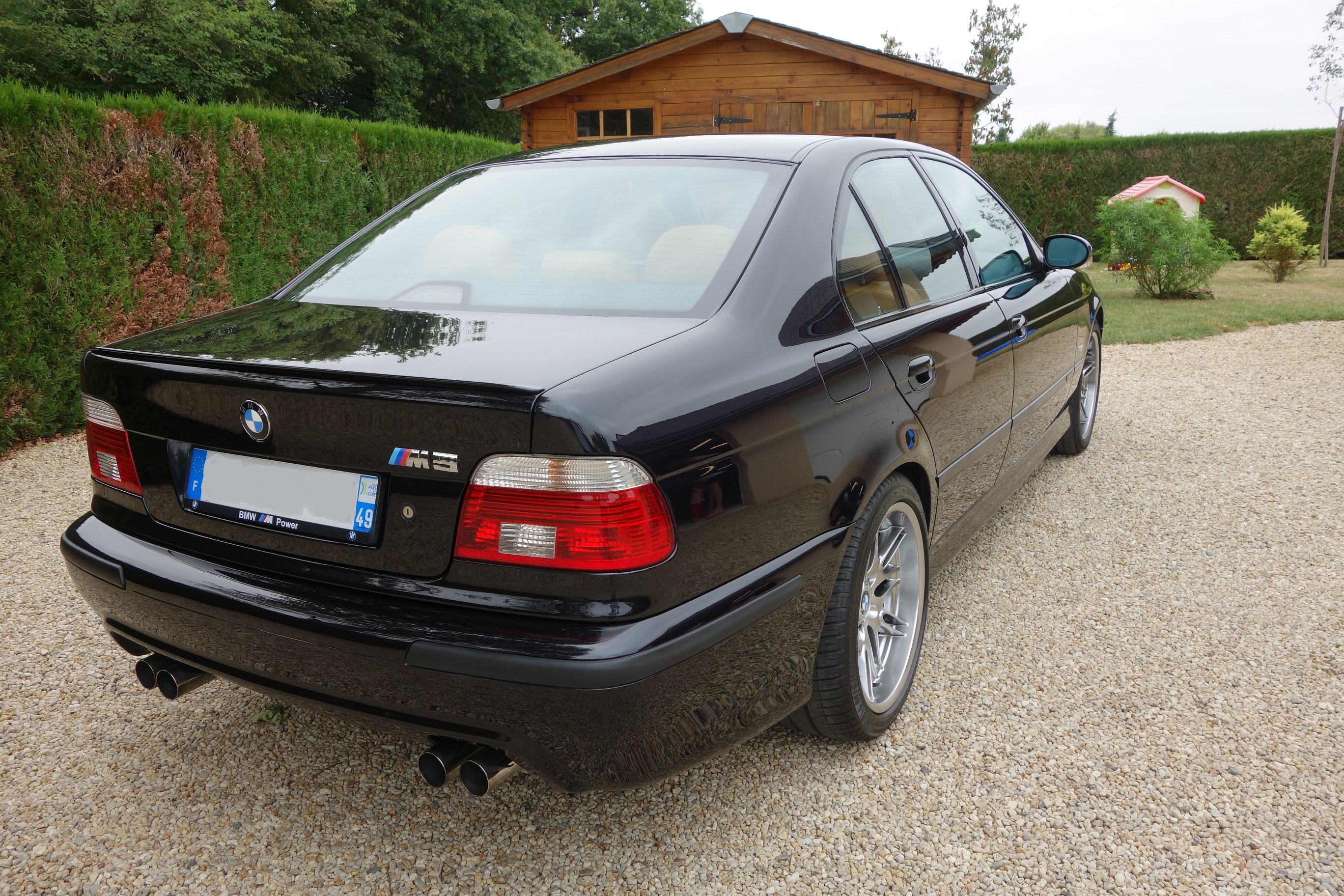 393990m5ap4.jpg