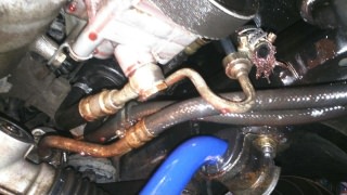 dsc_0417.jpg