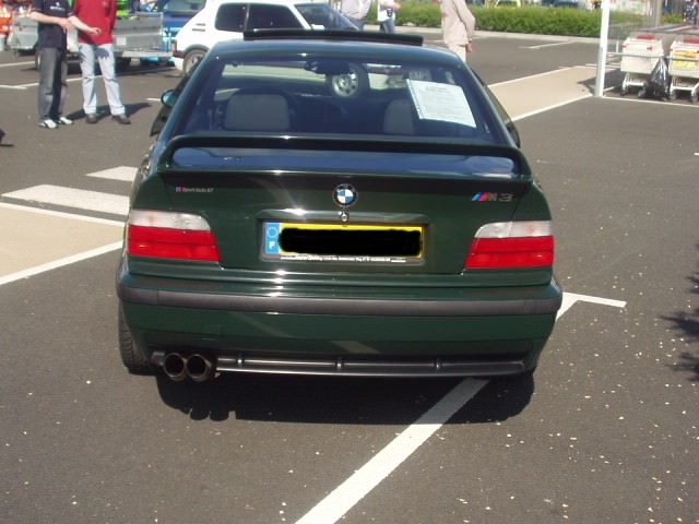 img-101627-6-m3gtbruce48yl.jpg