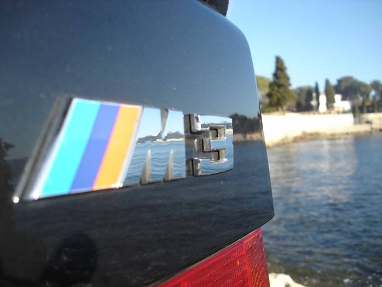 img-106089-1-19wk.jpg