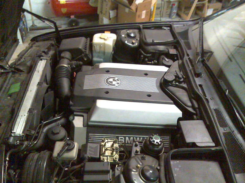 img-125354-4-photo011qe4.jpg