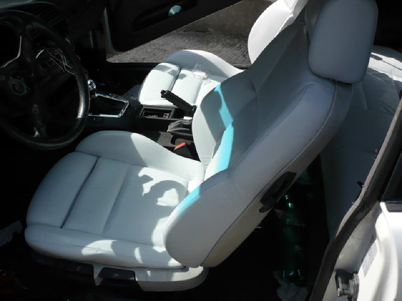img-141904-37-p1000250sz4.jpg