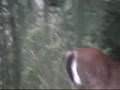 img-146586-14-default.jpg