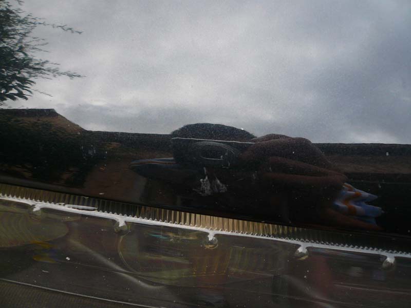 img-147436-24-flo18py8.jpg