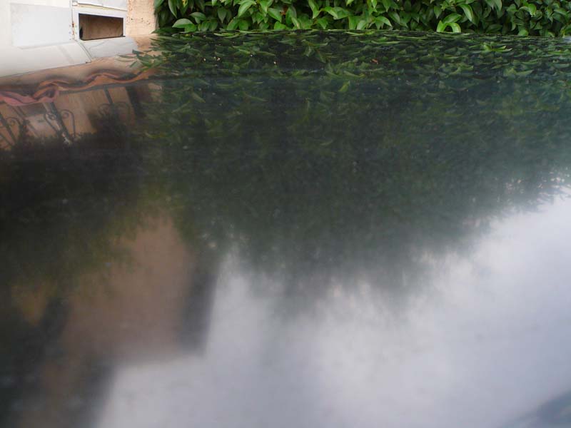 img-147436-3-flo15ib1.jpg