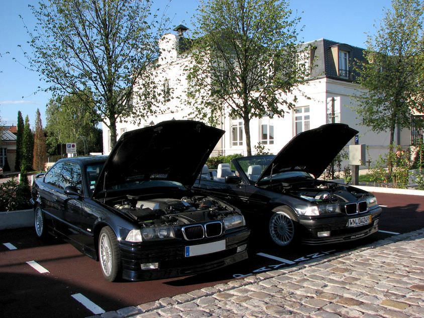 img-155247-2-img0376byg6.jpg
