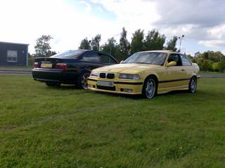 img-156220-4-photo009hn5.jpg