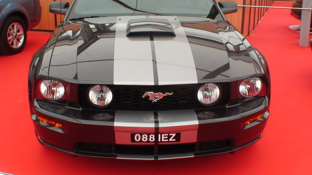 img-164959-2-dsc05635rc3.jpg