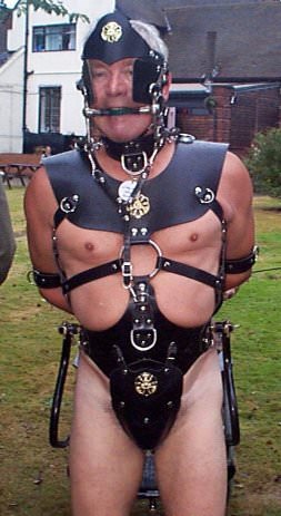 img-167834-1-sparky1ponyboy.jpg