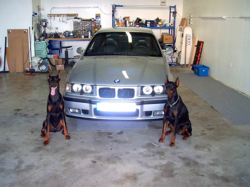 img-167910-3-cam0355ip0.jpg