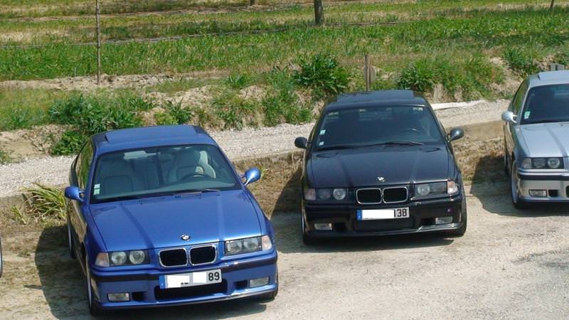 img-173033-4-m25bh7.jpg
