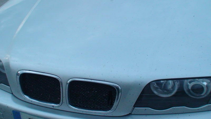 img-173083-14-m72zw5.jpg