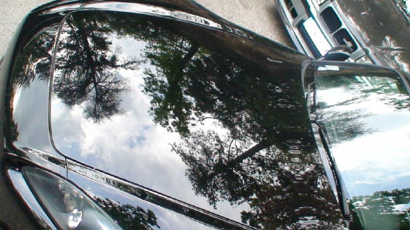 img-173083-2-m57rm8.jpg