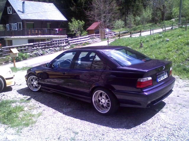 img-173818-8-pic00982hg3.jpg