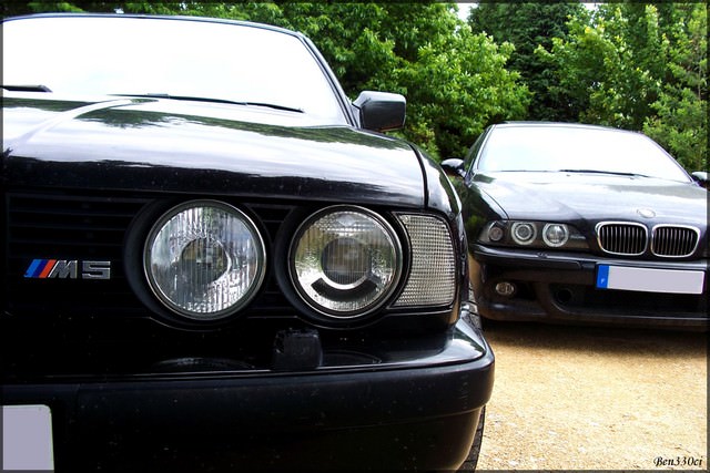 img-177856-2-1041658sl0.jpg