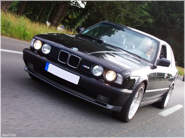 img-177856-7-1041696rh2.jpg