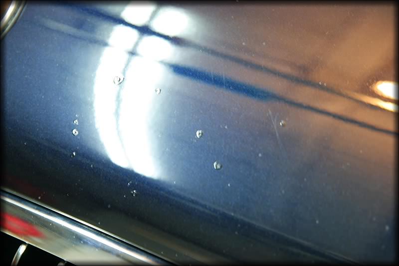 img-183548-48-paintchip.jpg