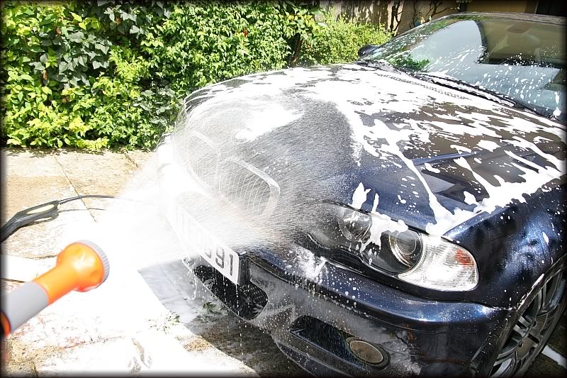 img-183548-5-rinse.jpg