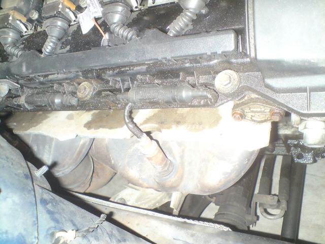 img-186366-5-dsc01172py9.jpg