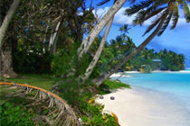 img-191704-1-2buy1.jpg