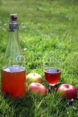 img-193114-2-400_F_7385982_S2wORNrs1Ca67xRzRFcXpuSqcNHwHIcZ.jpg