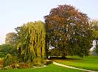 img-193231-1-tnhetrepleurpourprejpg1ci3.jpg