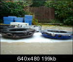 img-195354-9-comparaisonmechanismebr0.th.jpg