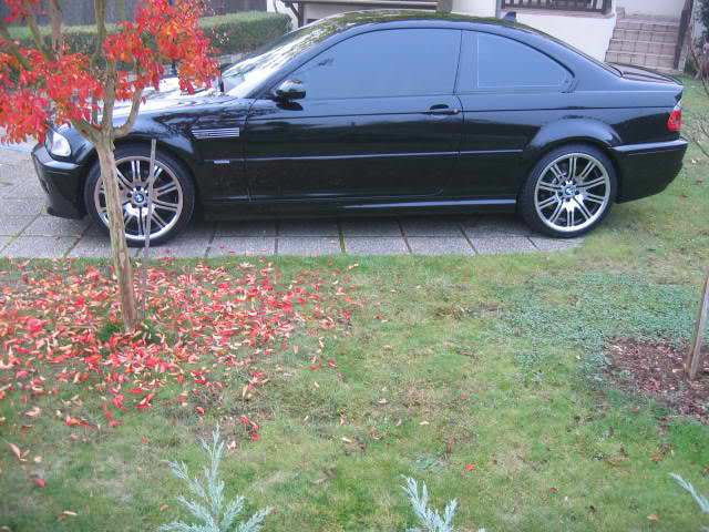 img-196042-2-081012100054452614.jpg