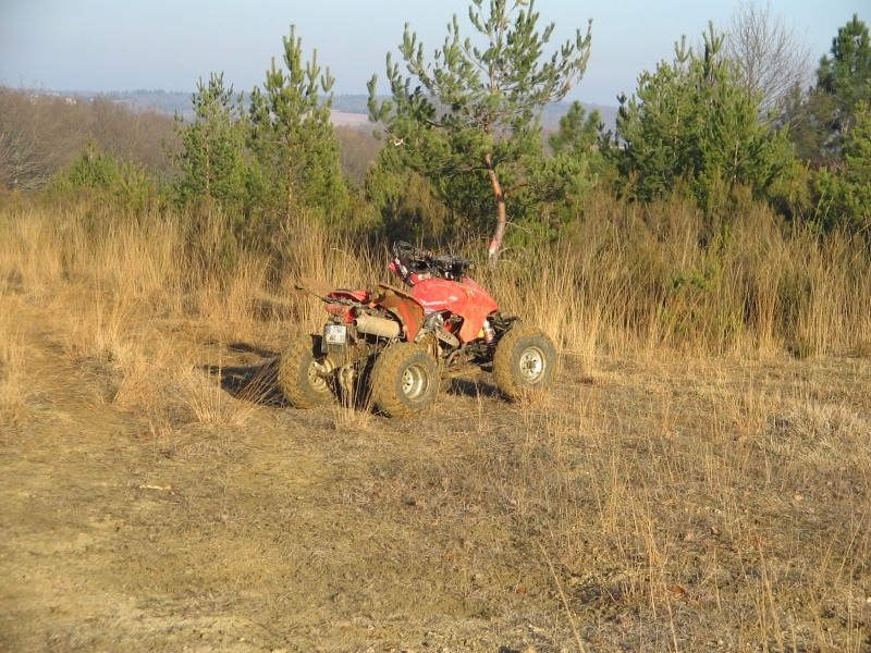 img-198645-6-img_3911.jpg