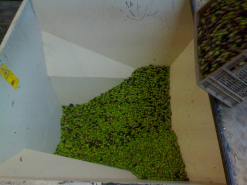 img-198654-3-dsc00021gc9.jpg