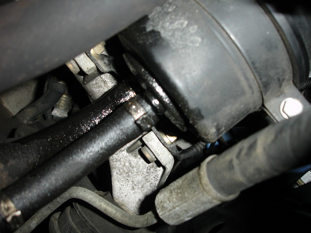 img-198716-1-dsc02768oo5.jpg
