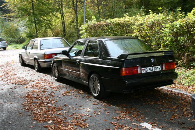 img-203061-5-photo_10.jpg