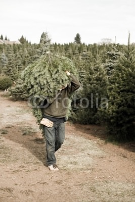 img-204847-1-400_F_7909401_A0eL3zmMrfhvLvXeMWYEINd7xlNogXpg.jpg