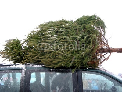 img-204847-2-400_F_367748_b4obv4j2hz9wcuiWJcPi1ATPi1ATQE.jpg