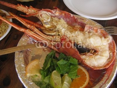 img-204848-14-400_F_3253067_I2r6CE6i5Lix4AGV28scrbMEGeNPIK.jpg