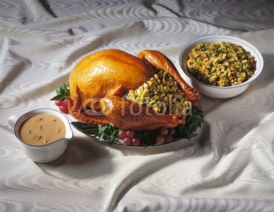 img-204848-15-400_F_579754_fCrN2Q45cdeegqrNXhijOXCrNXCM0t.jpg