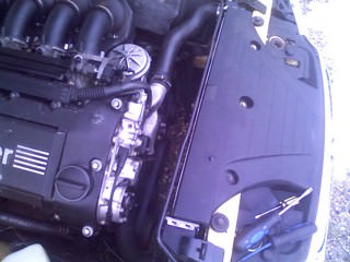 img-204948-2-pic0166sc1.jpg
