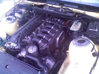 img-204948-4-21905230xy7.jpg