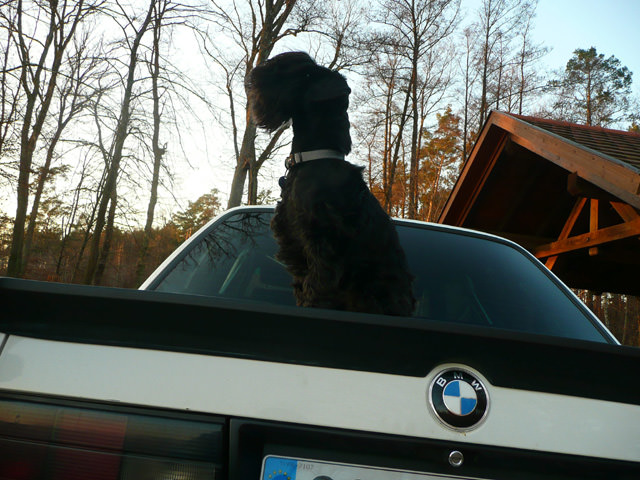 img-205146-8-325i_a17.jpg