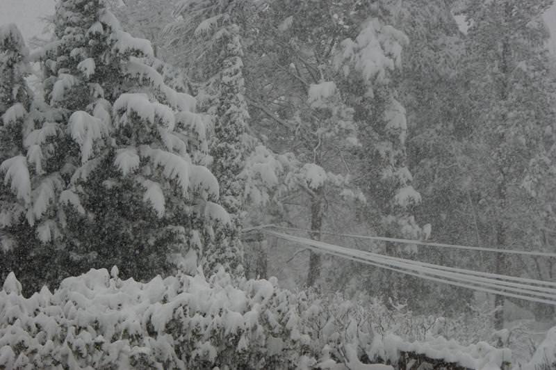 img-206726-1-neige1qa4.jpg