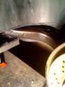 img-212812-3-mini_821057rustol.jpg